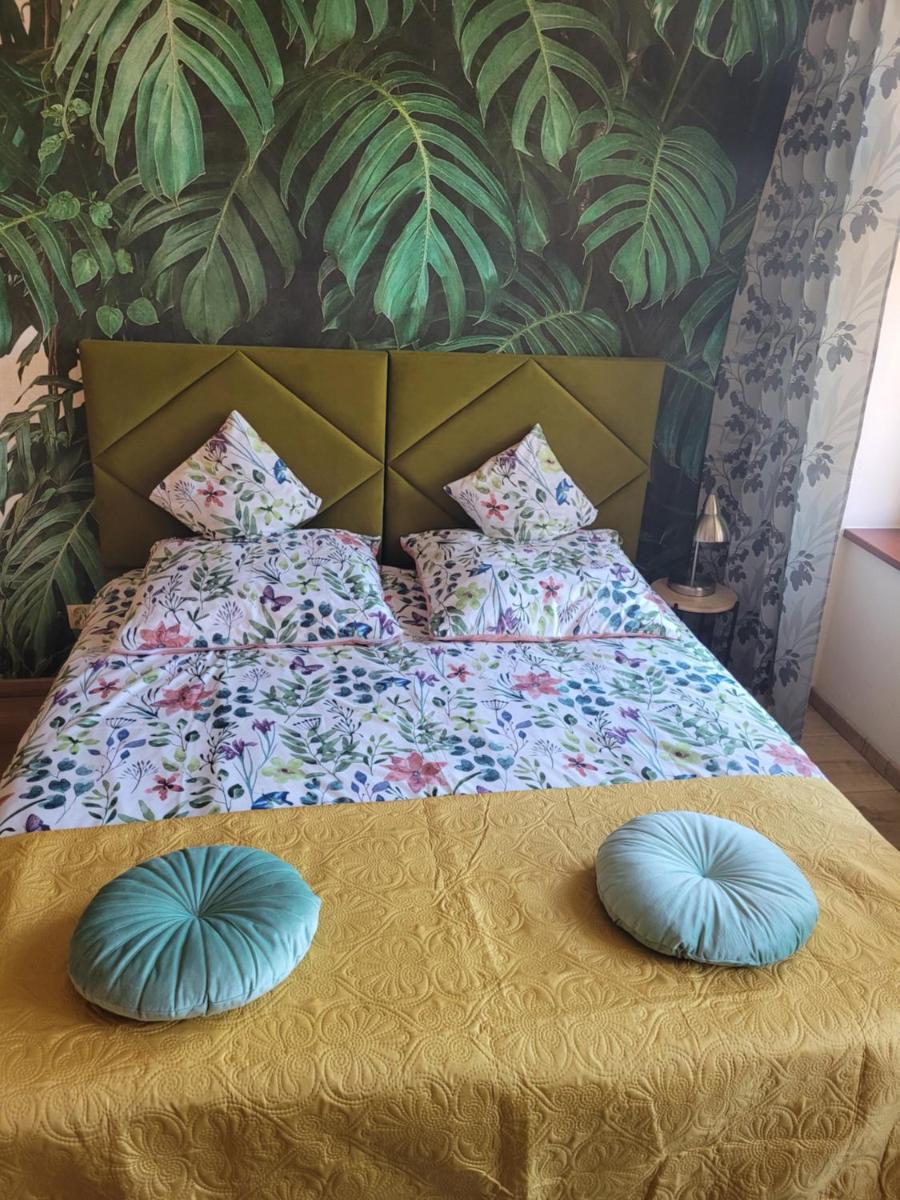APARTAMENTY TR 11 Apartament nr 1 - Housity