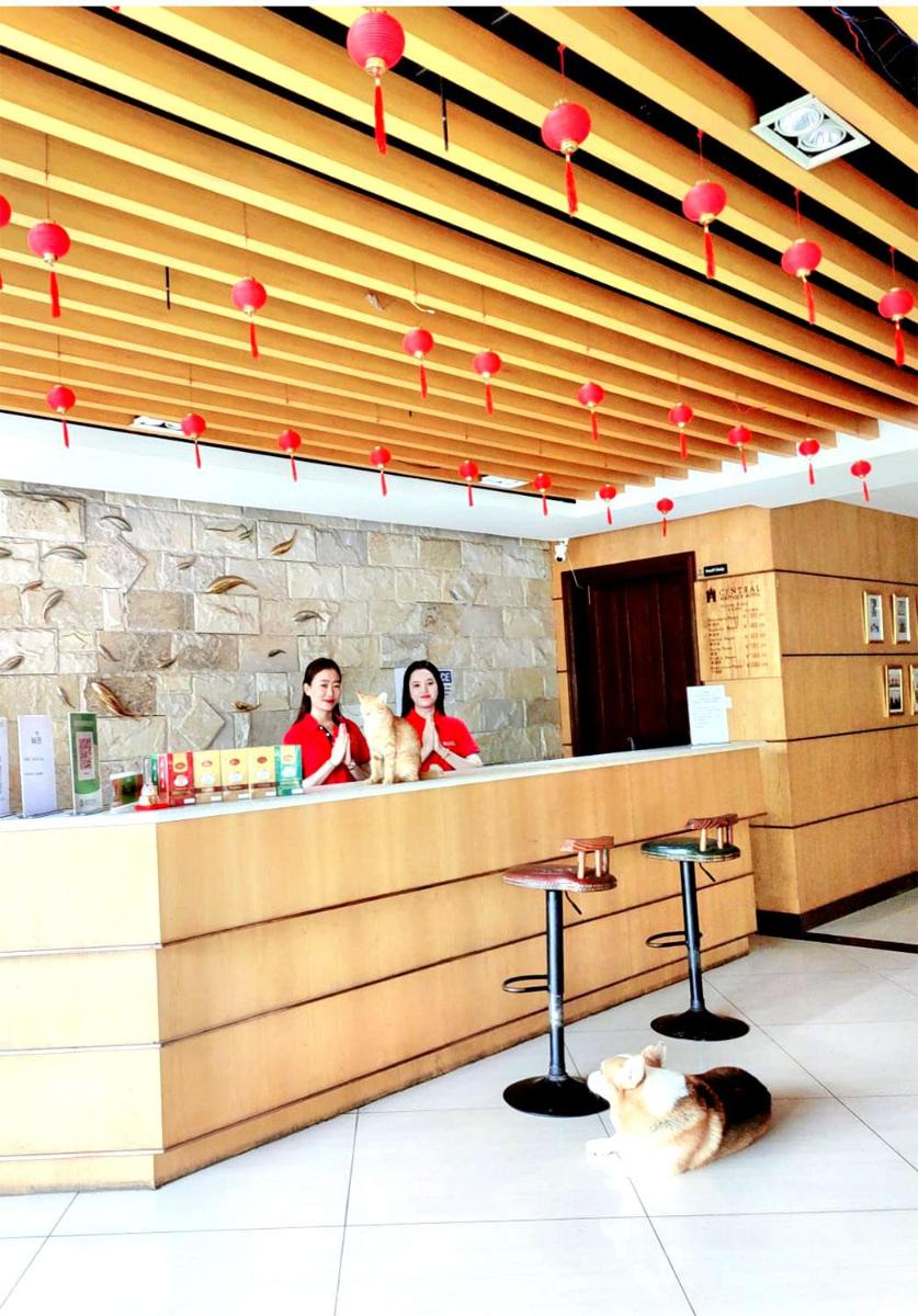 Central Boutique Hotel - Hizvo