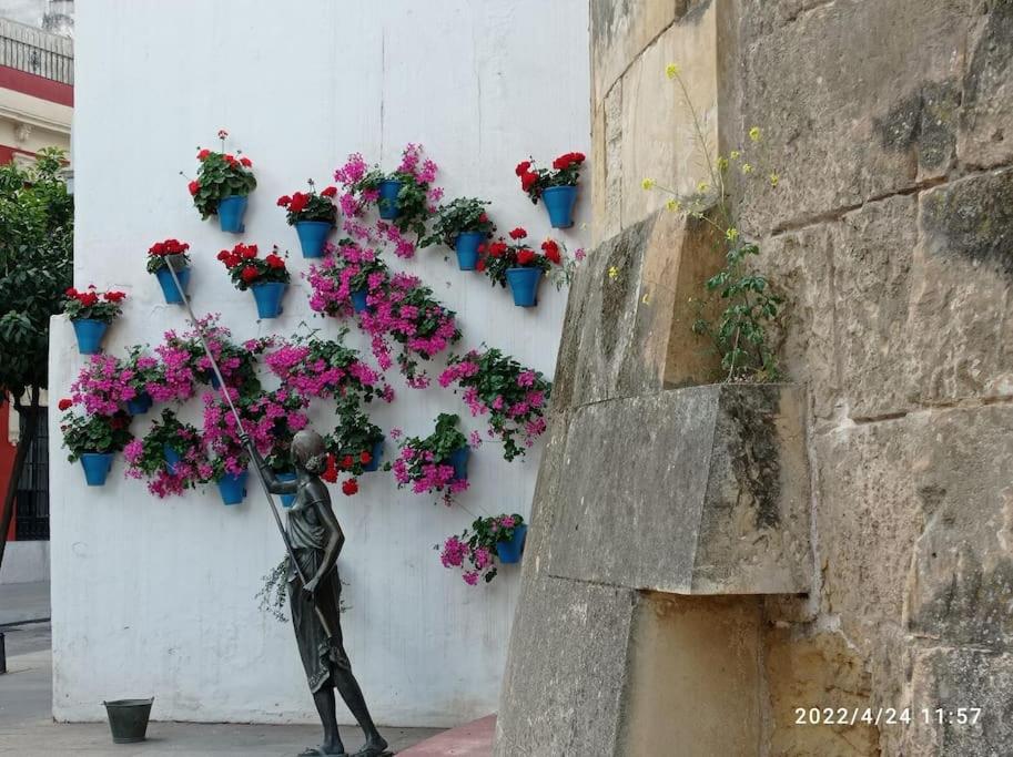 Precioso loft en el centro de Córdoba. - Housity