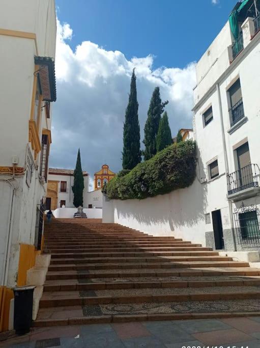 Precioso loft en el centro de Córdoba. - Housity