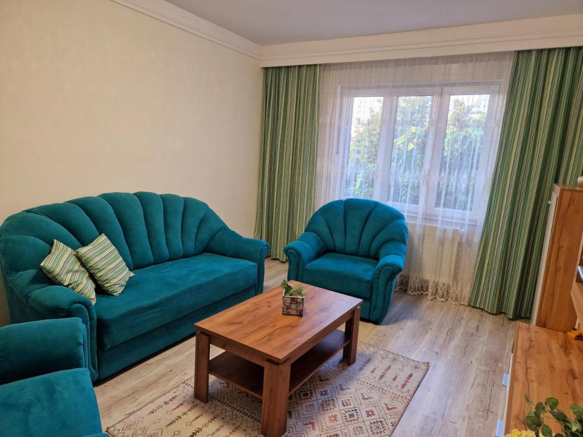 ORI Modern Apart Malul Muresului , Arad - Housity