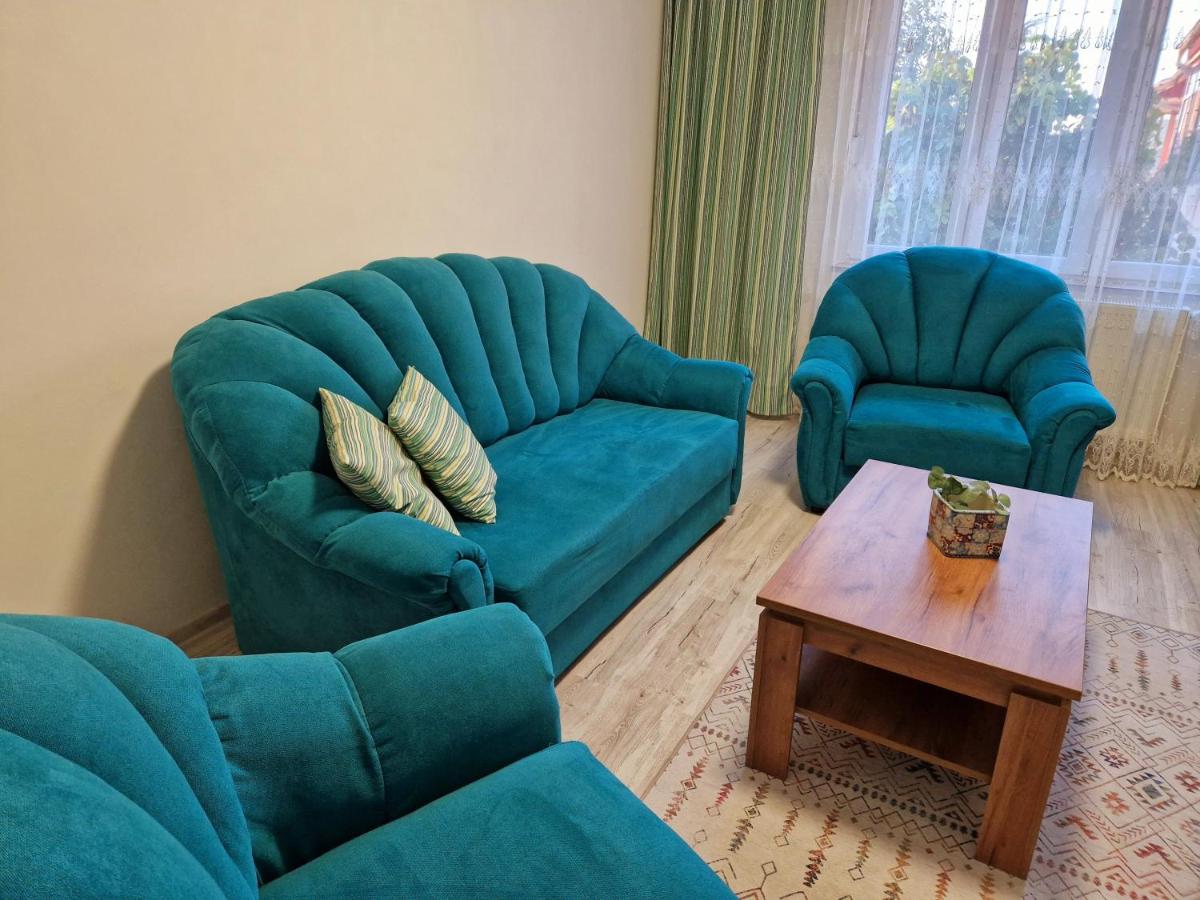 ORI Modern Apart Malul Muresului , Arad - Housity