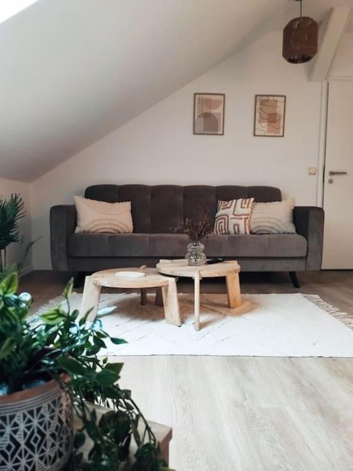 Stylische Altstadtwohnung - Netflix - Smart TV - Schlafsofa für 3 Personen - Housity