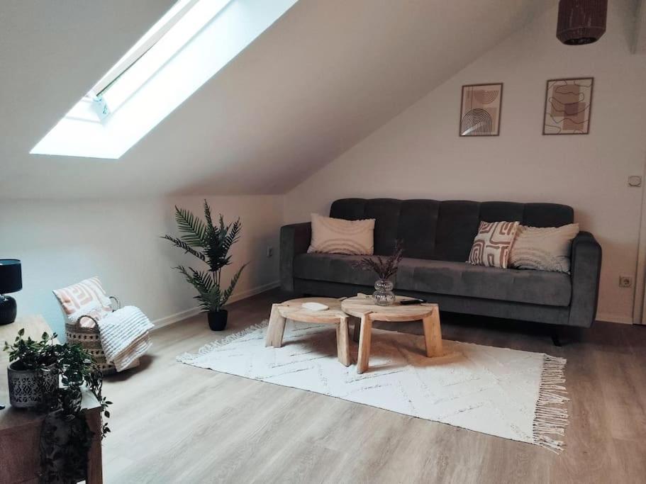 Stylische Altstadtwohnung - Netflix - Smart TV - Schlafsofa für 3 Personen - Housity