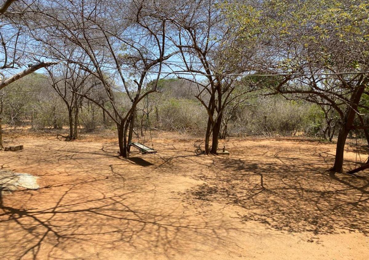 Yala shadow - Housity
