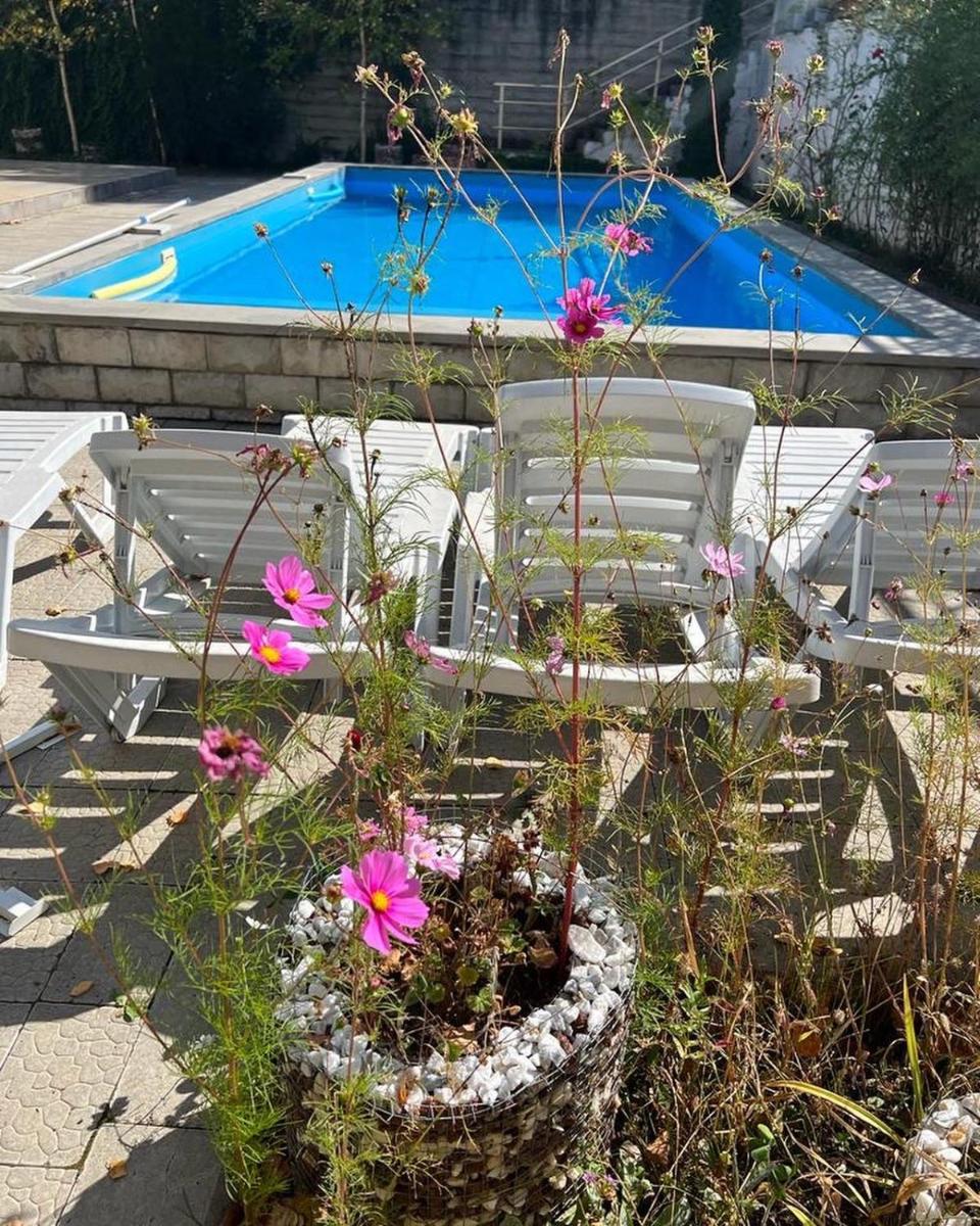 Dilijan Duplex - Housity