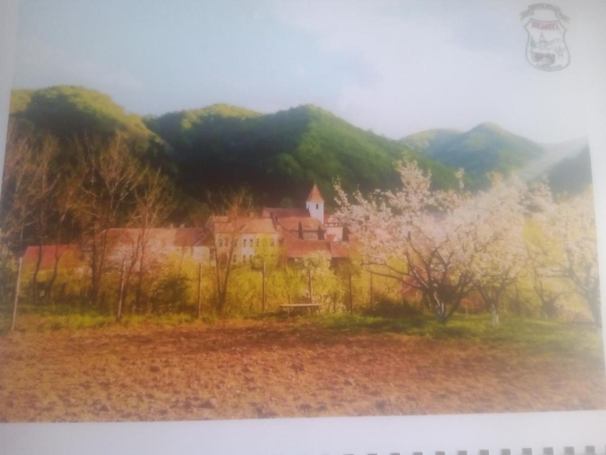 Pensiunea Casa Roman - Housity