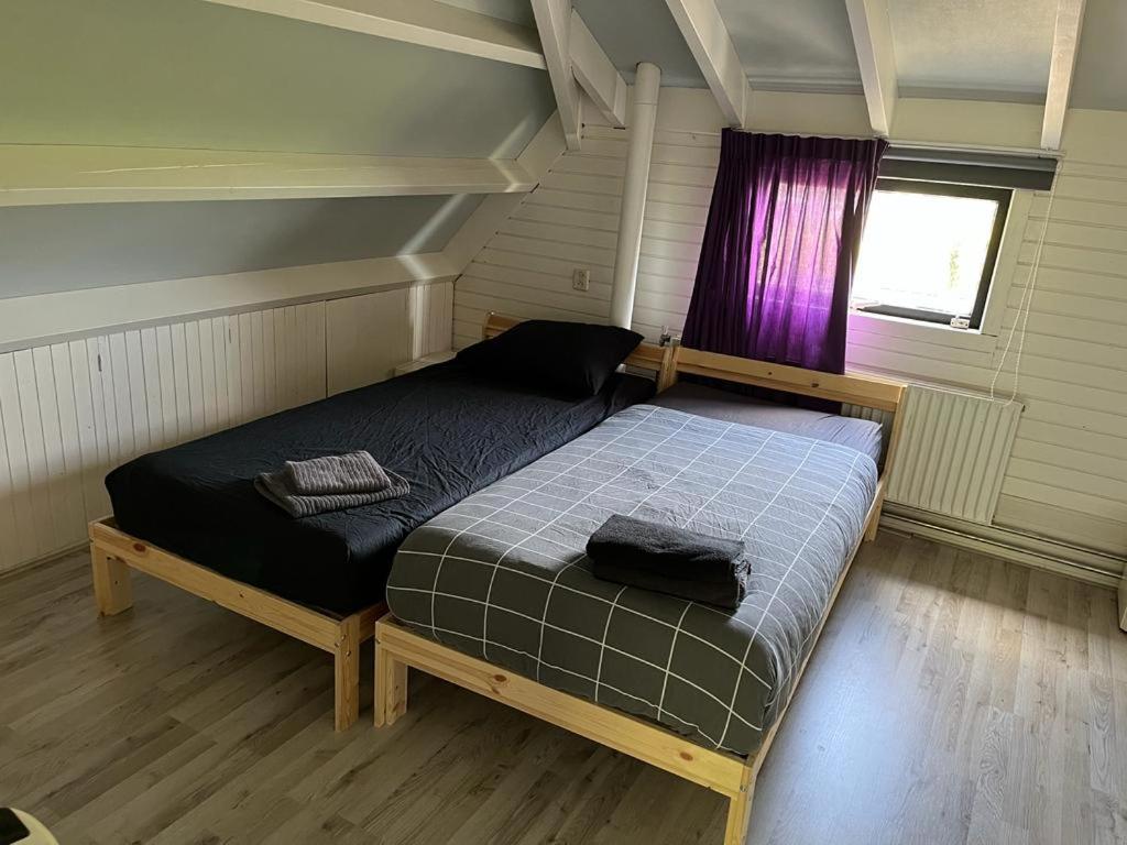 House near Amsterdam and beach - Housity