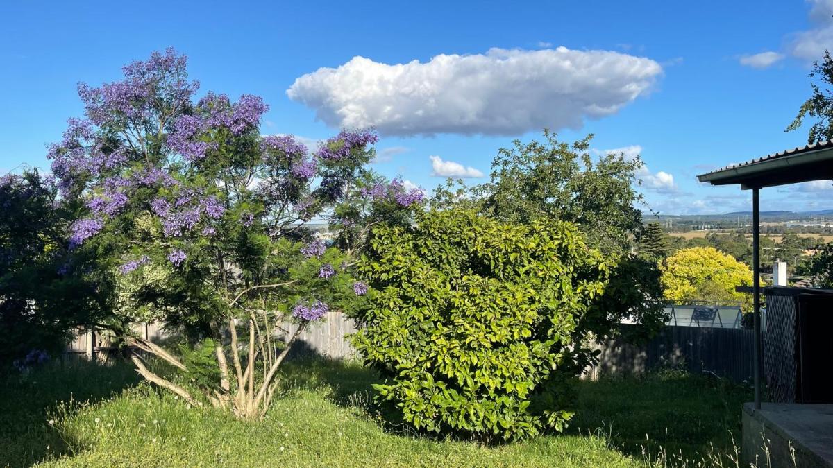 Morwell Pet friendly 3 BRMS Rental home Free Wi-fi - Housity