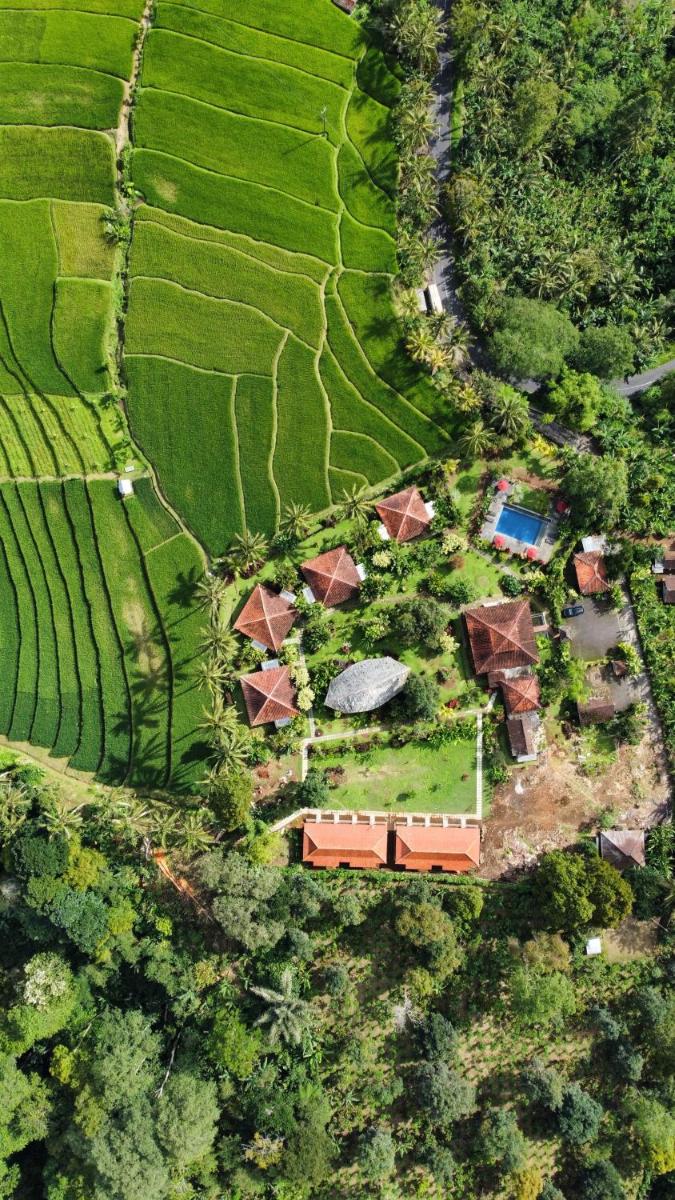 Sava Eco Retreat - Housity