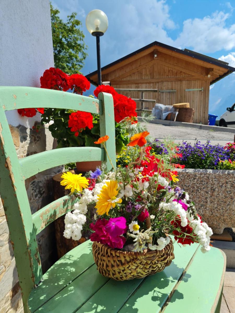 Piccola Suite sul Civetta - Housity