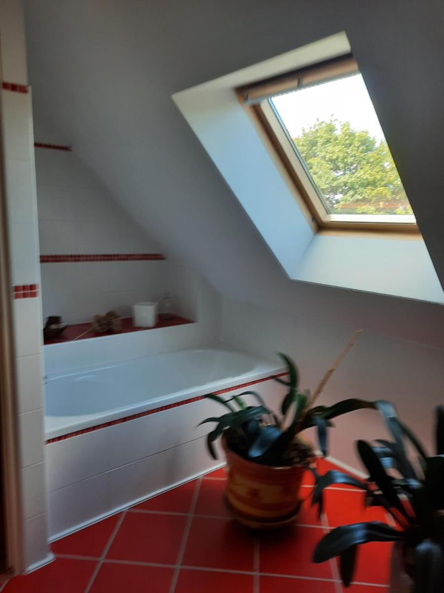 Chambre à louer - Housity