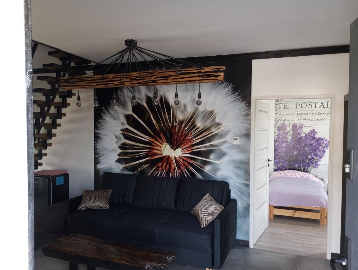 Apartament Klonowa - Housity