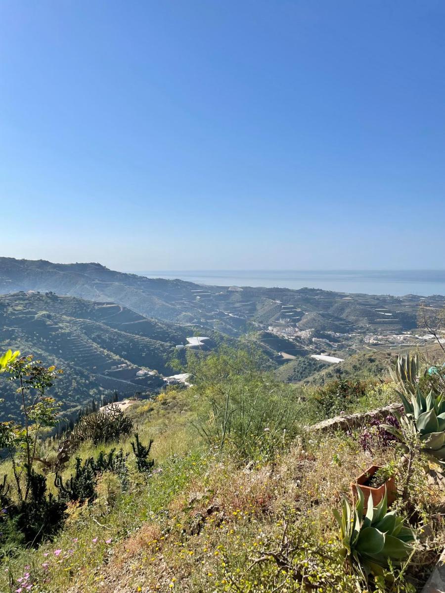 Casa Indigo - Housity