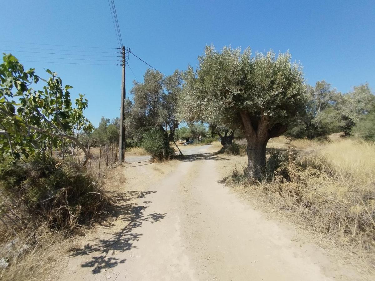 CostasFarmhouse, Pallini, Near Athens Airport - Housity