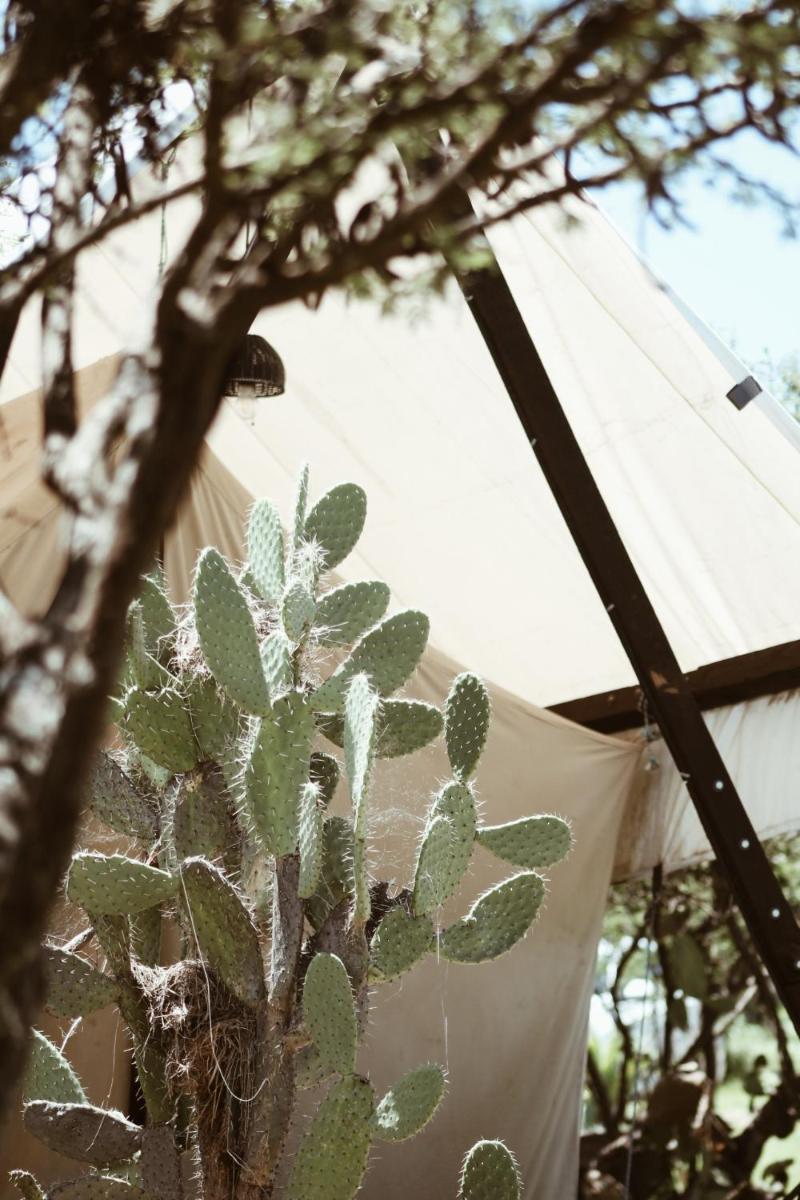 Terra San Miguel Glampings - Housity