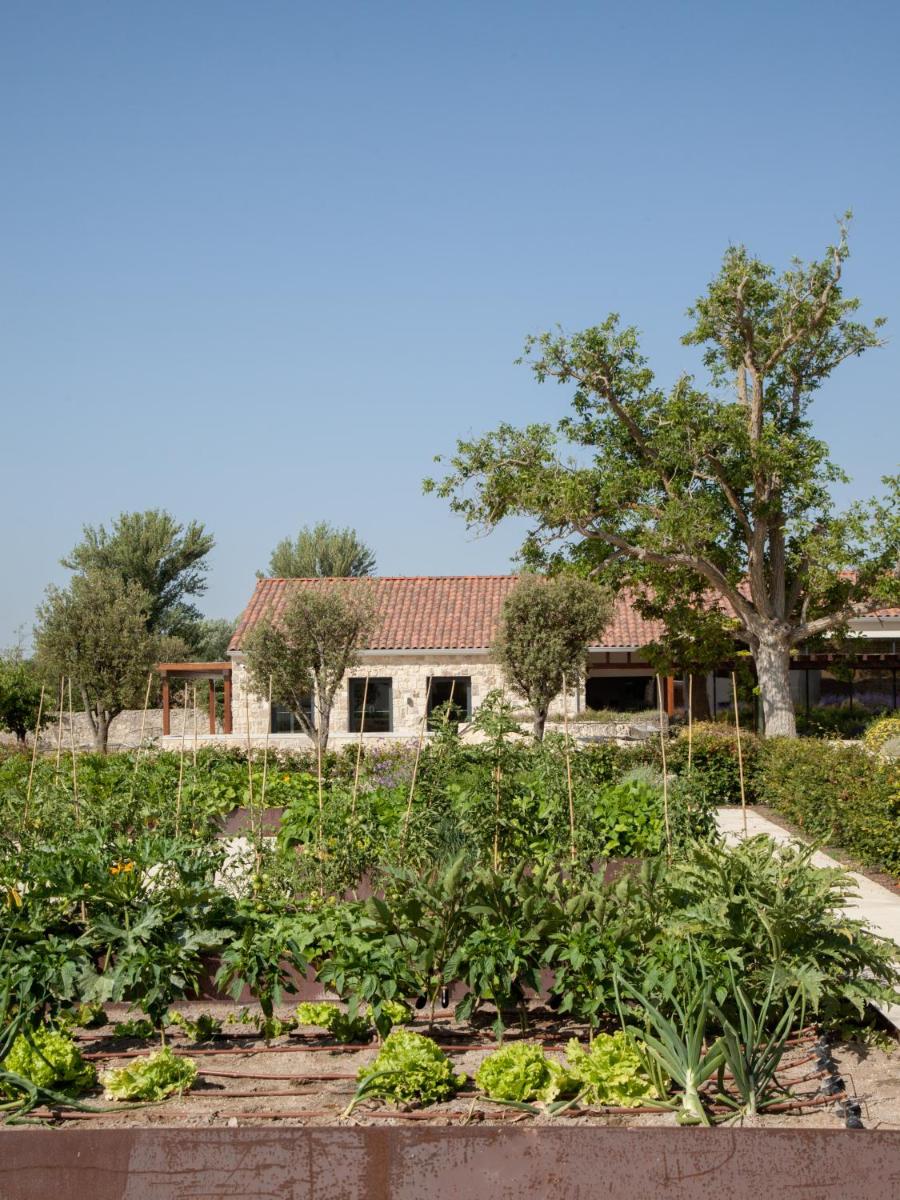 Jardín al aire libre en Quinta San Francisco