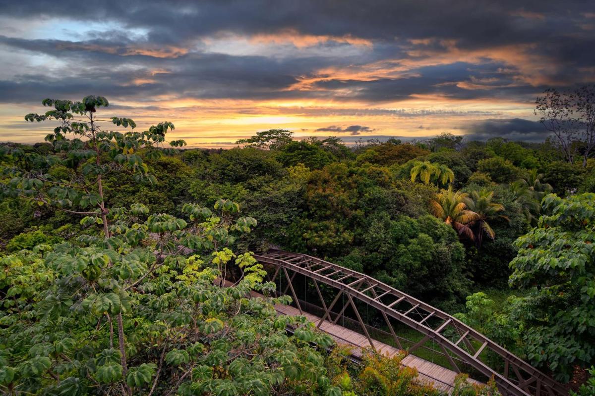 Suitetrails - Botanika Osa Peninsula, Curio Collection By Hilton
