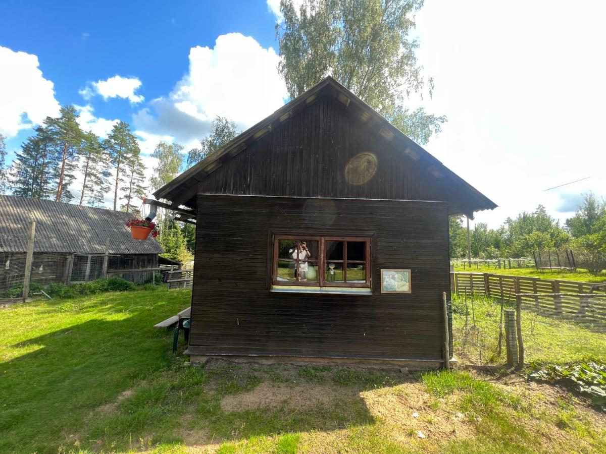 Elf house Sauna Jakuzzi - Housity