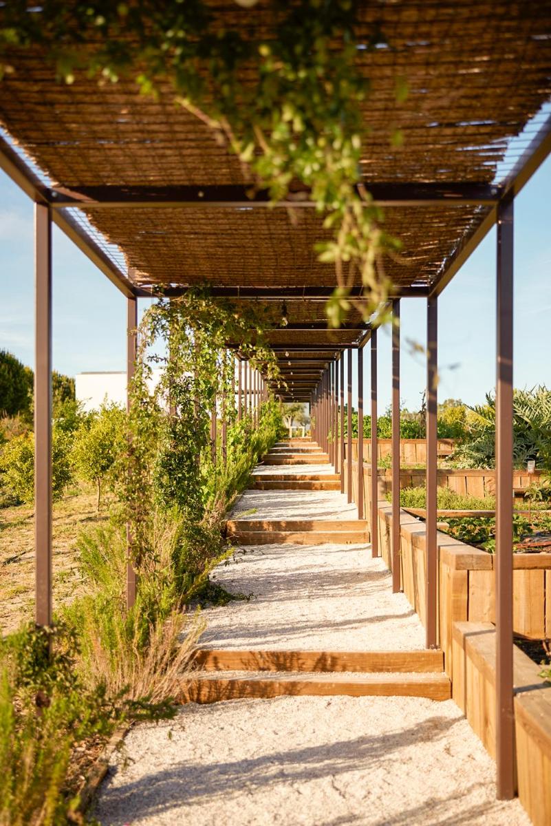 Um jardim no exterior de Octant Evora