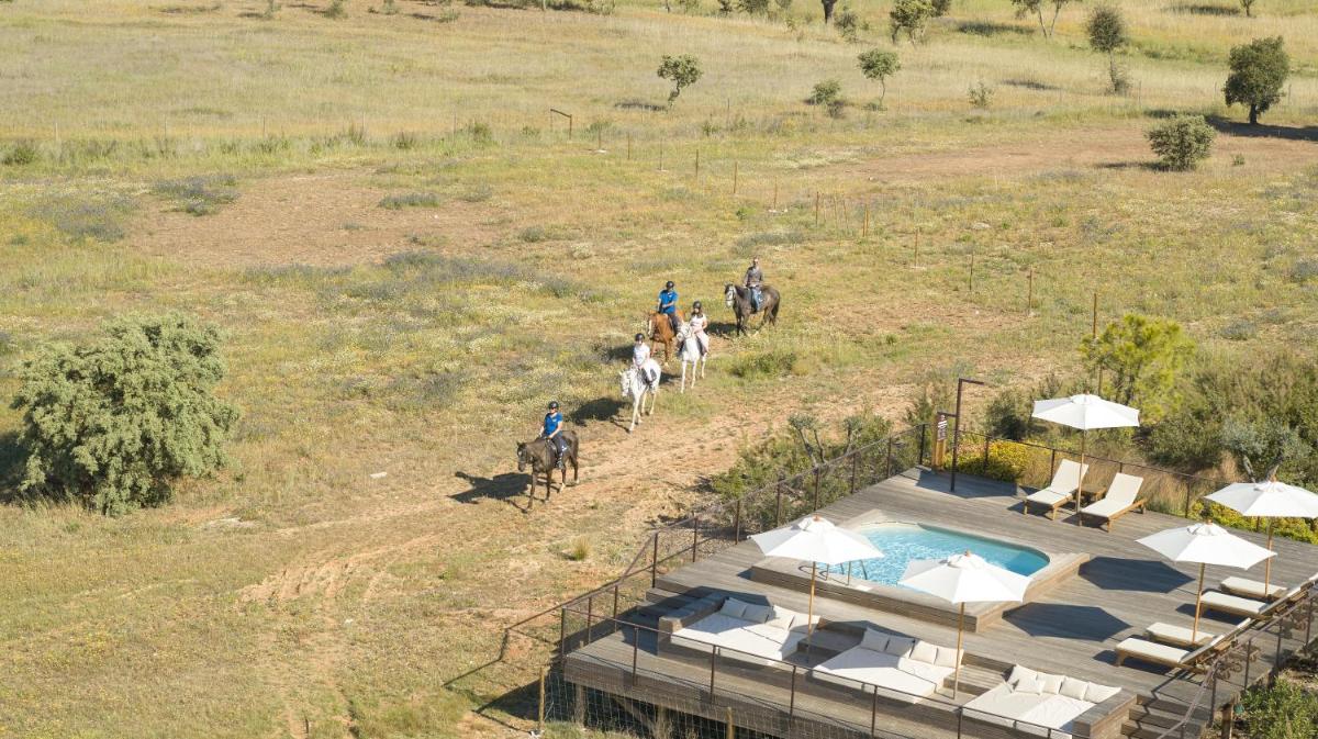 A piscina em ou perto de Octant Evora