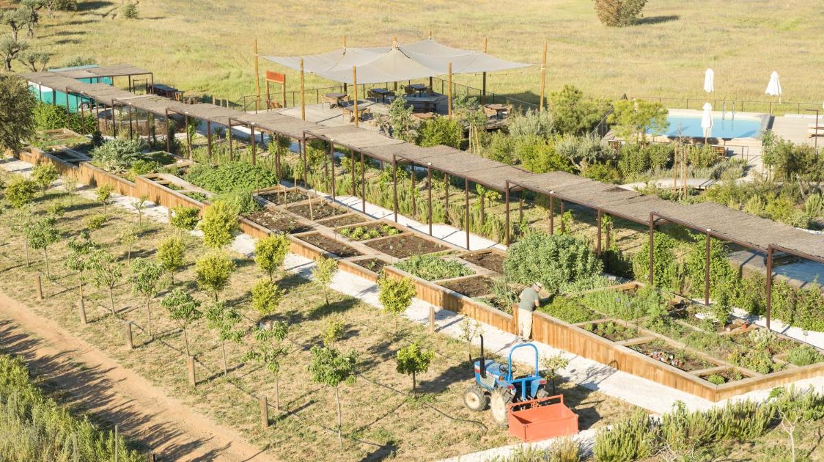 Um jardim no exterior de Octant Evora