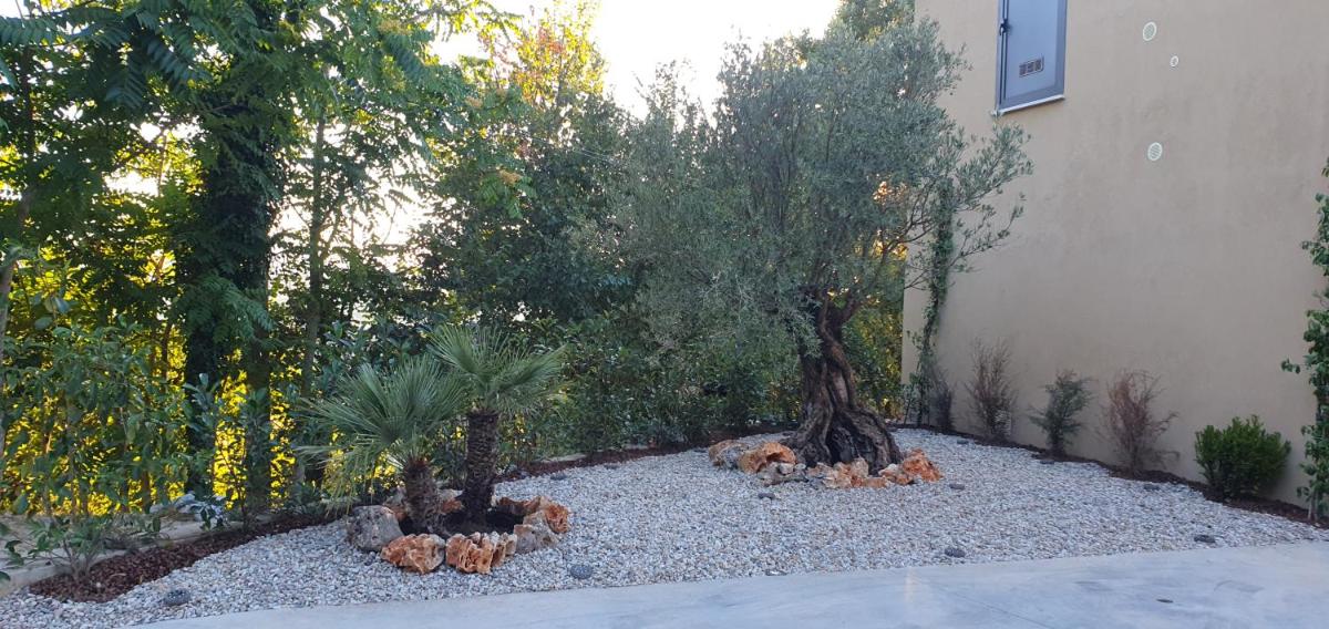 Vinea del Selvatico cascina agricola - Housity