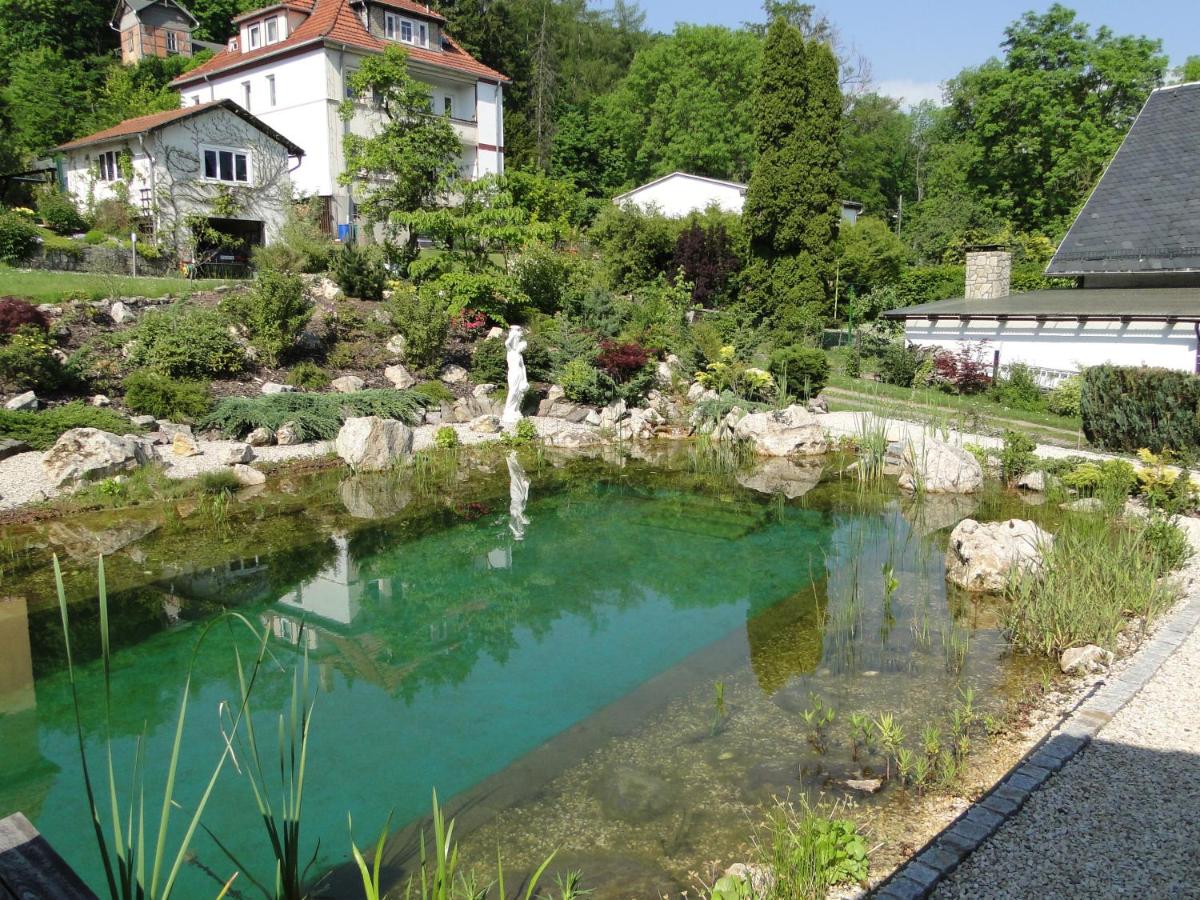 Pension Villa am Burgberg - Housity