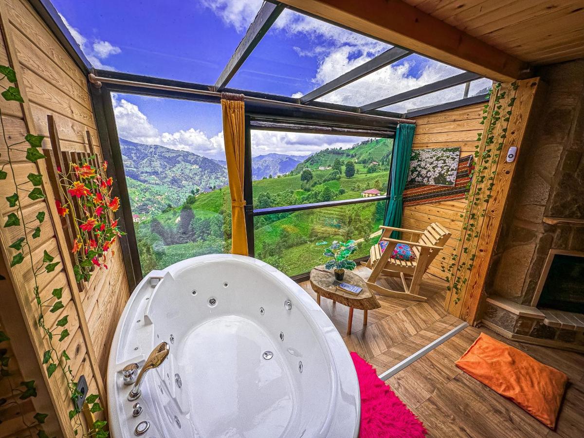 Organic village bungalow - Housity