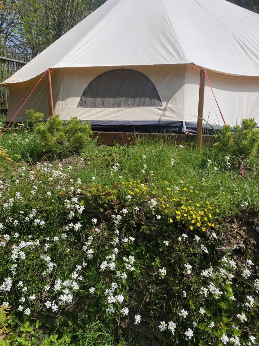 Hvězdný glamping - Housity