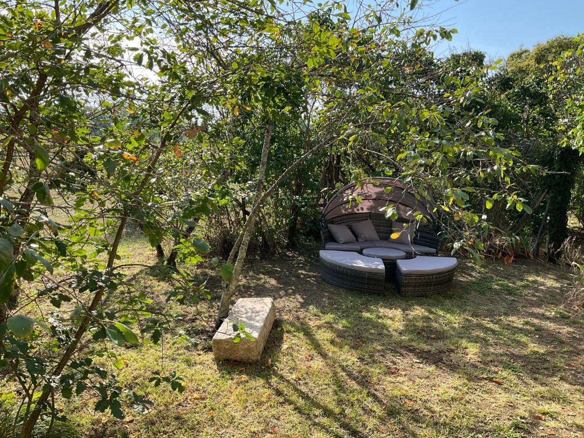 Maison Dulcis - Housity