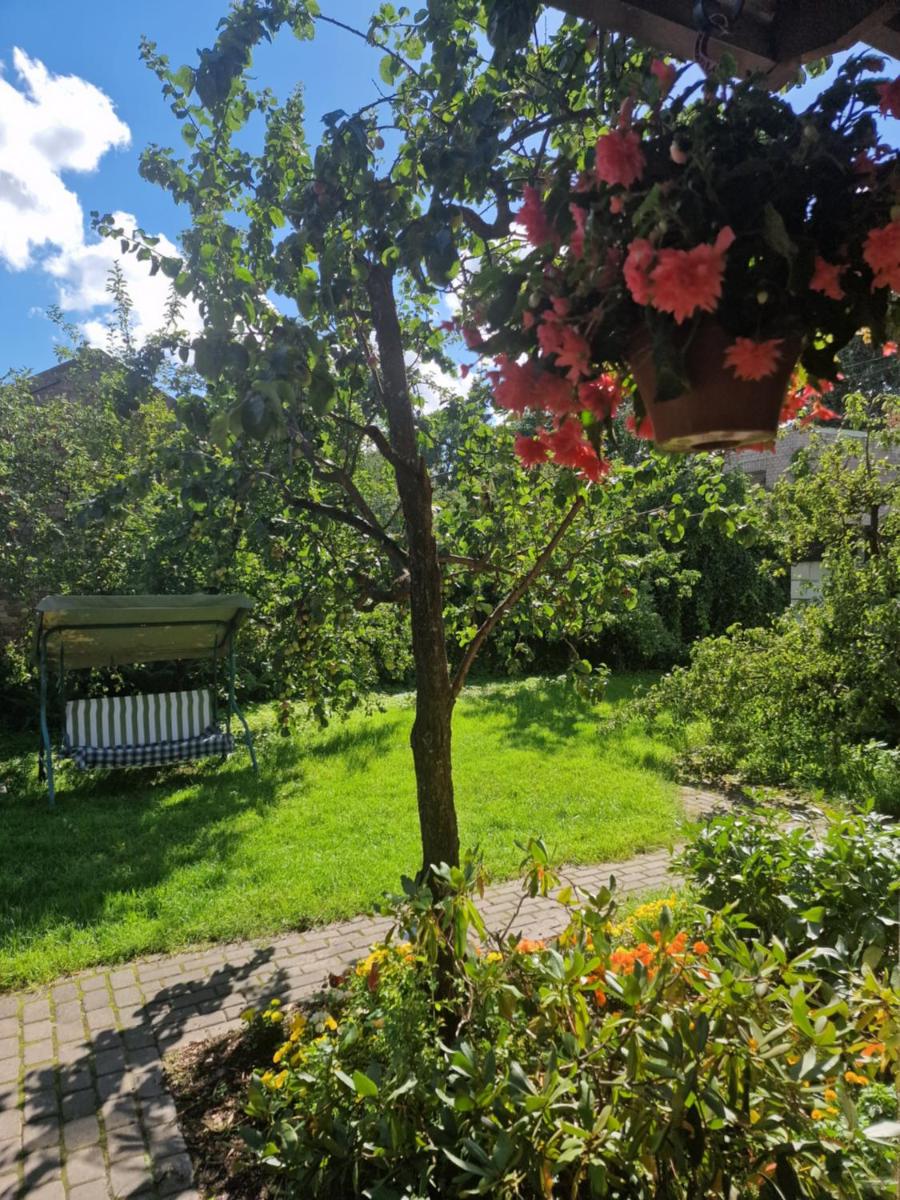 Boutigue city house with terrace and garden free parking - Housity