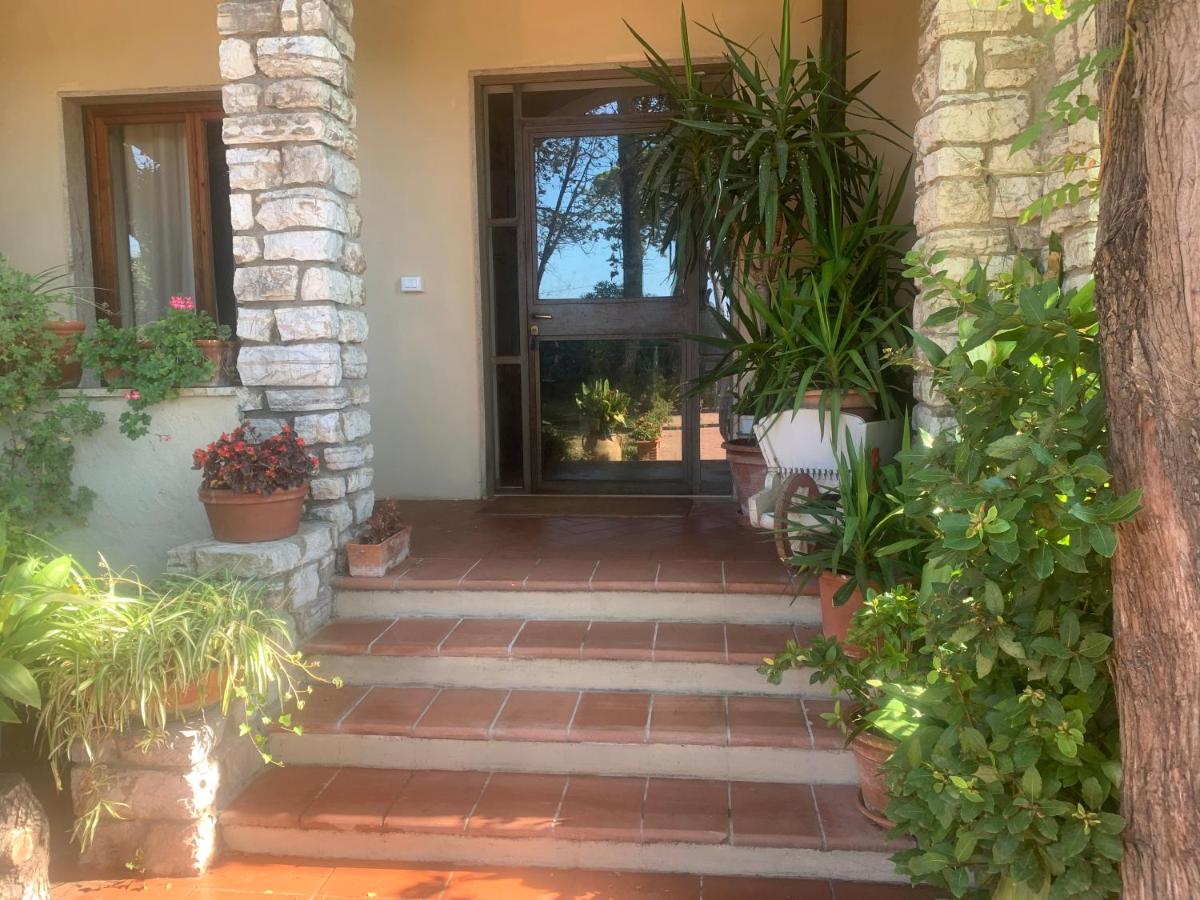 Casetta dei fiori - Housity