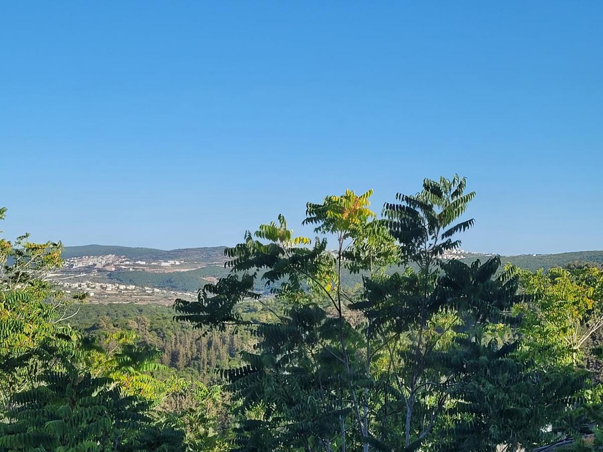 הבית באשכולות - Housity