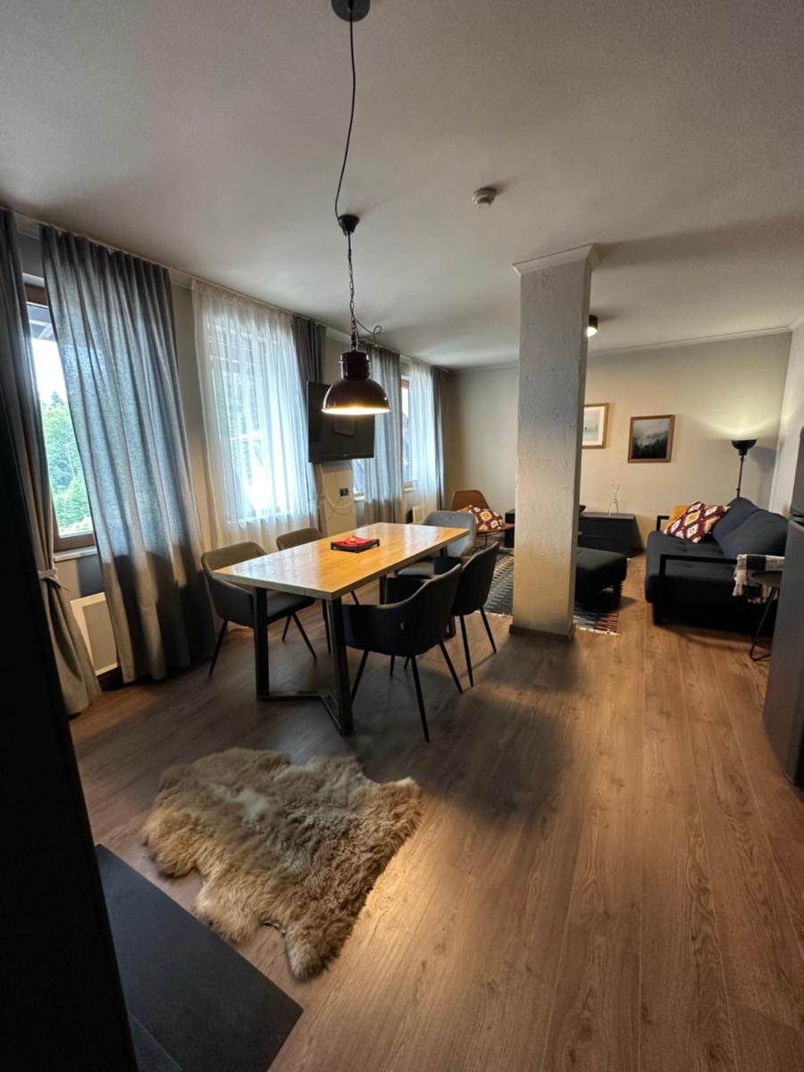 Art apartment Pamporovo Grand Monastery - Hizvo