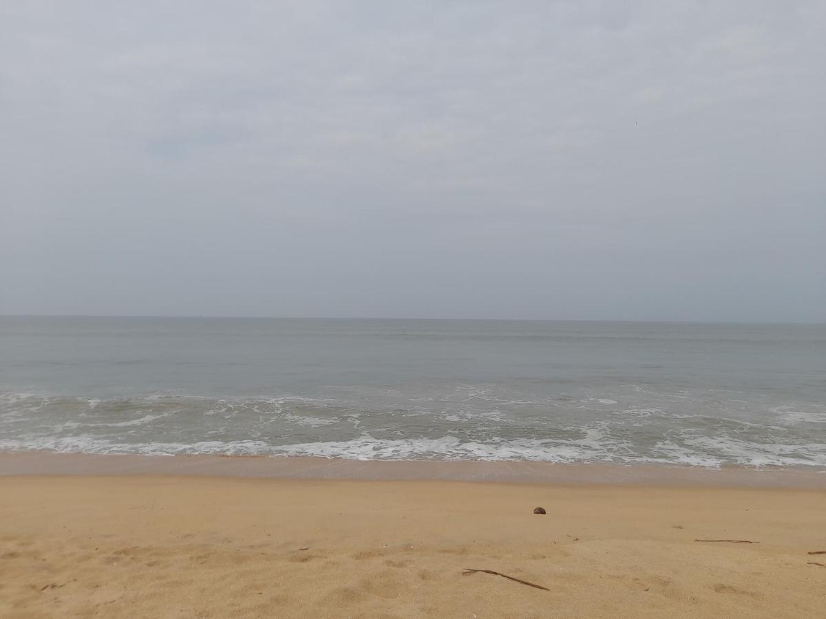Oceangreen cottage - Housity