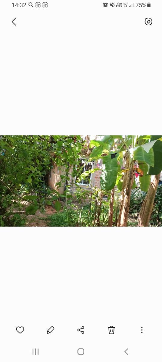 Rasika Homestay - Housity