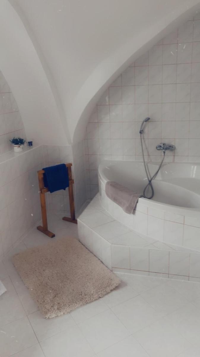 Apartmán v koňském areálu Židovice - Housity