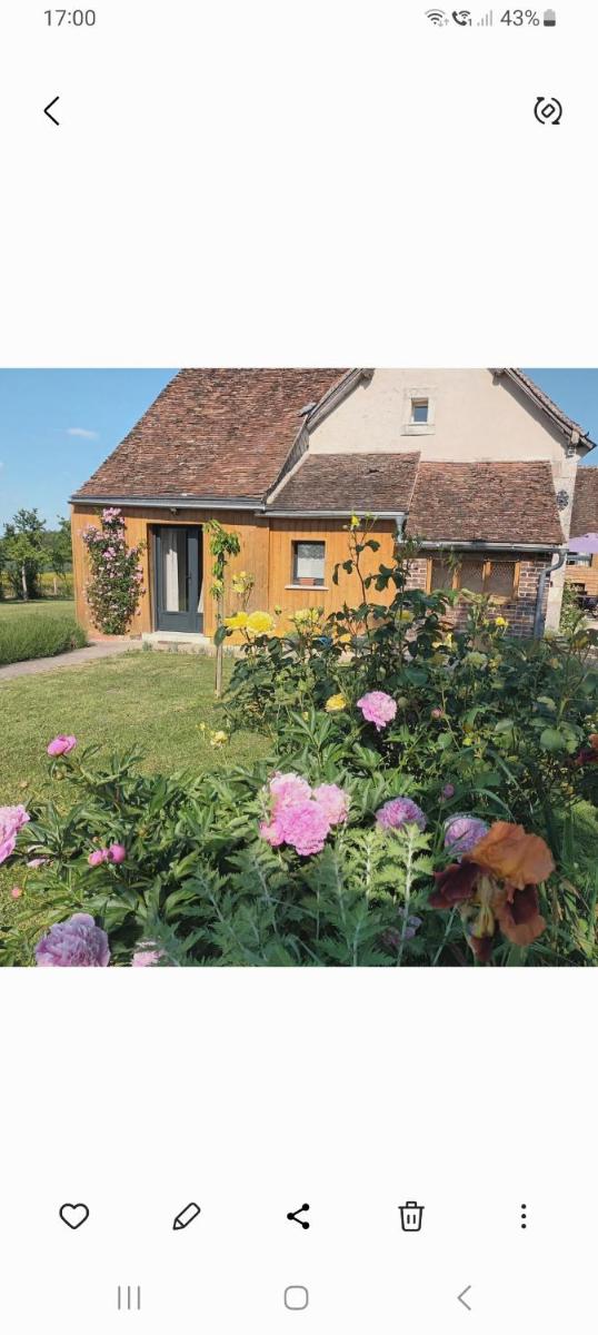 La chouett'chambre - Housity
