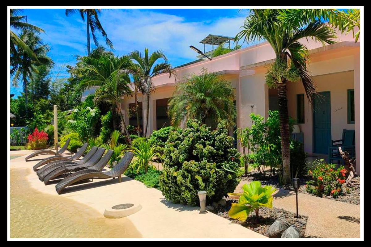 Imagine Bohol - Housity