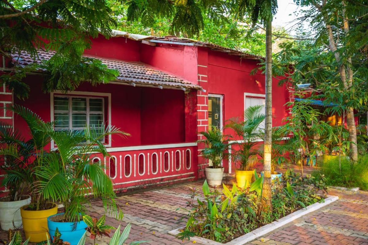 Dandeli Wild Jungle Resort - Housity