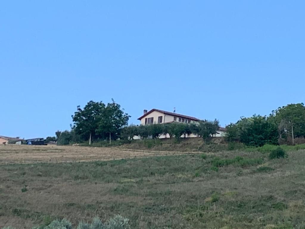 Casa vacanze fra gli ulivi - Housity
