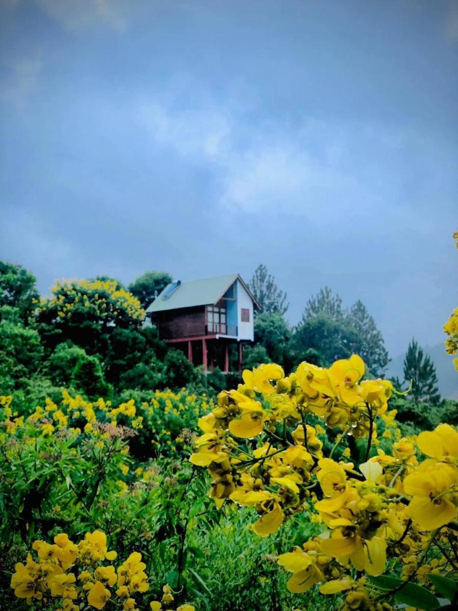 Suitetrails - La Seran Eco Resort