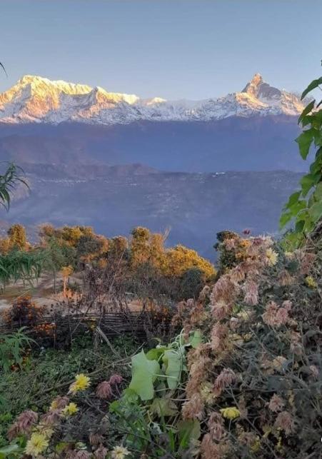 Juma Danda Lodge - Housity