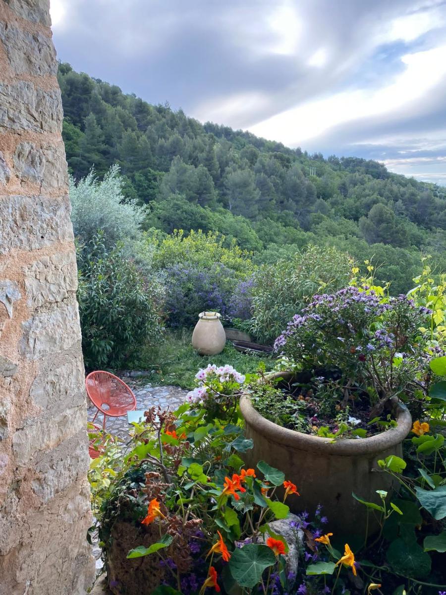 Tiny House au coeur des Combes - Housity