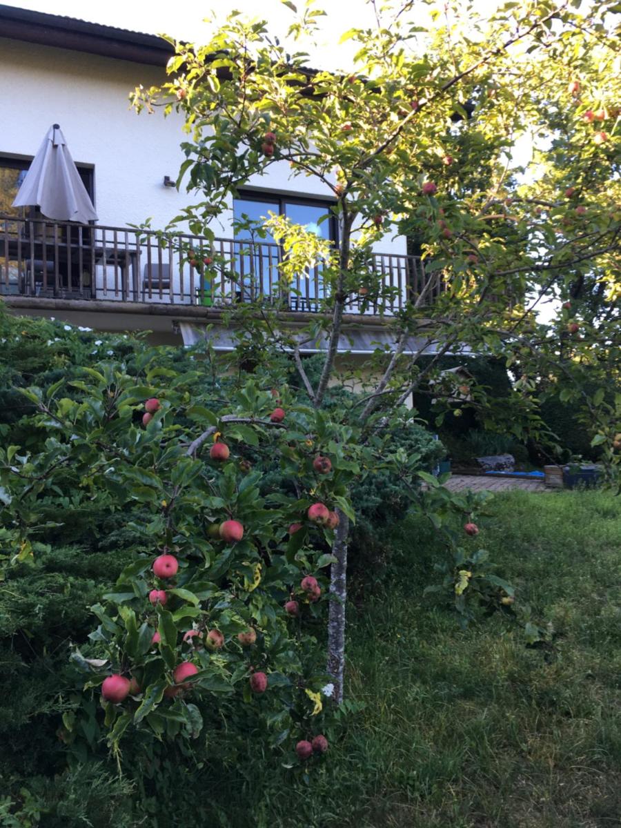 Chambre B&B dans la maison en lisière de forêt - Housity