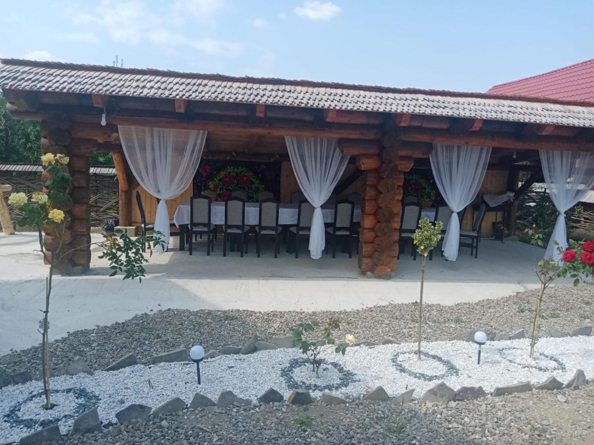 Casa Ilies - Housity