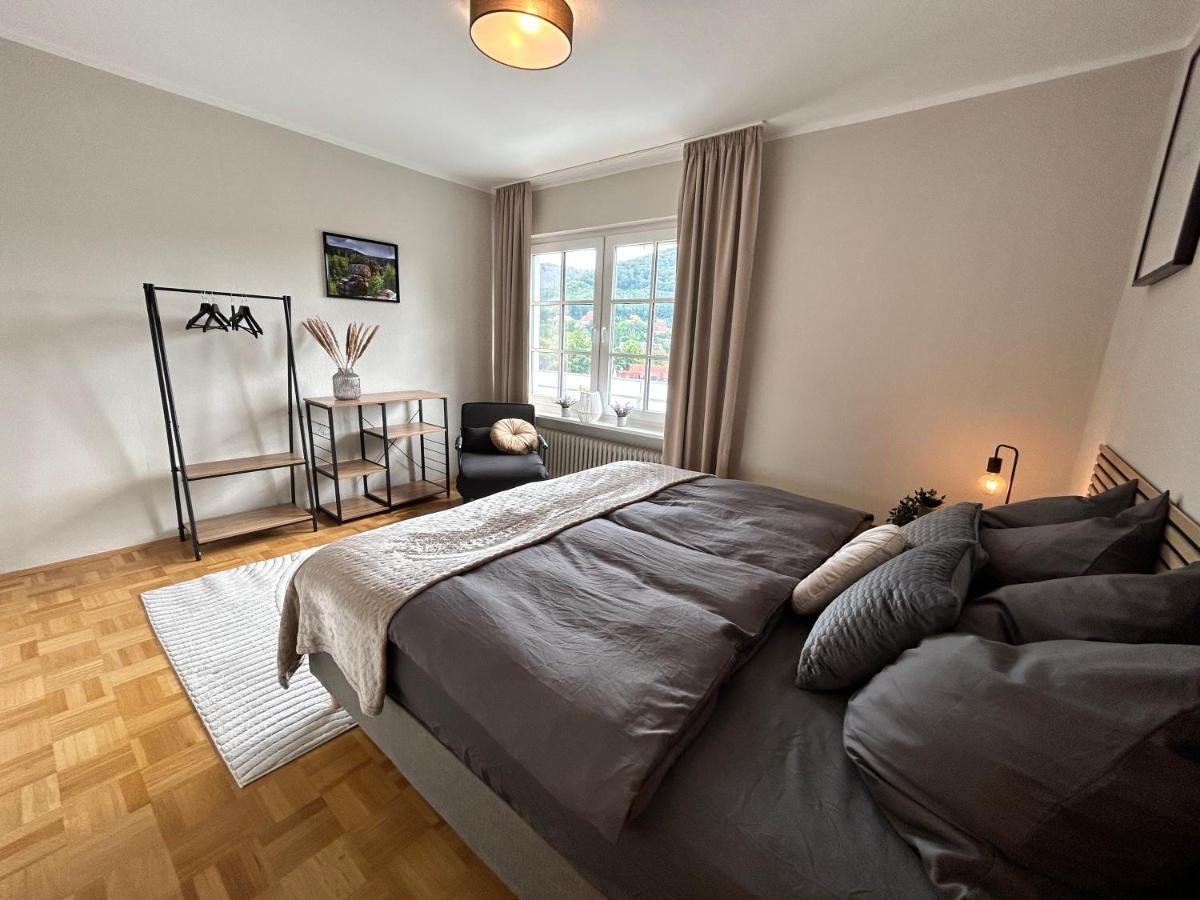Harzburgliving Wohnung Goethe`s Ausblick - Housity