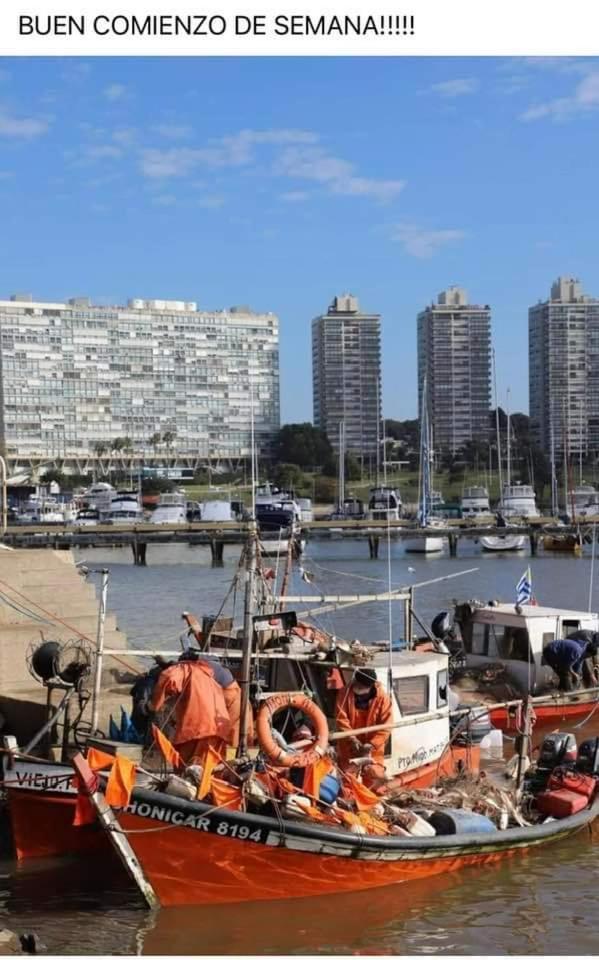 Puerto del Buceo, habitación en Apartamento Compartido - Housity