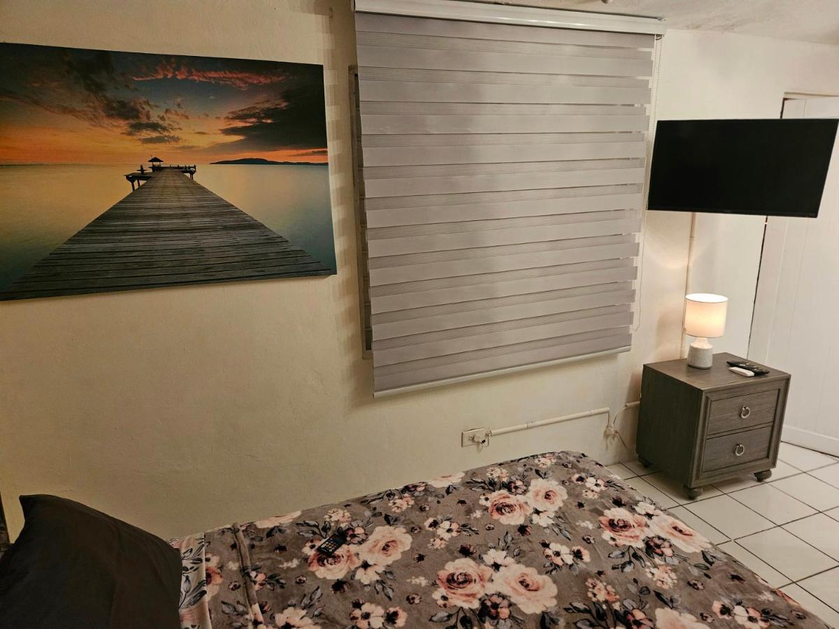 Relaxing Tropical Studio - Housity